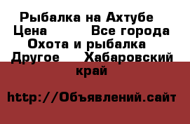 Рыбалка на Ахтубе › Цена ­ 500 - Все города Охота и рыбалка » Другое   . Хабаровский край